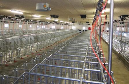 Секція запліднення